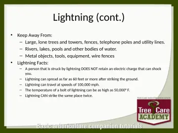 Slide 134: Lightning (cont.)