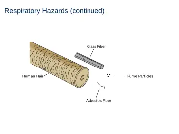 Slide 10: Respiratory Hazards (continued)