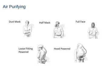 Slide 13: Air Purifying