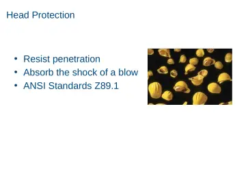 Slide 28: Head Protection