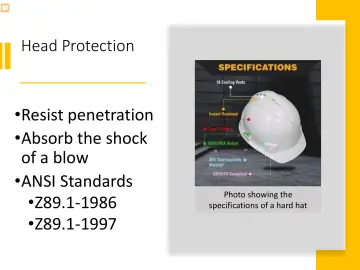 Slide 29: Head Protection