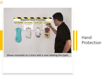 Slide 41: Hand