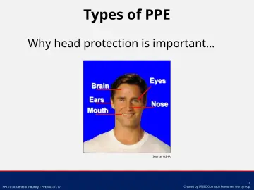 Slide 11: Why head protection is important…