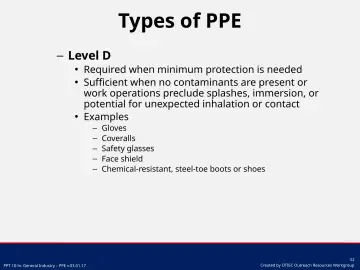 Slide 52: Level D