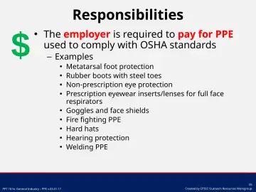 Slide 55: Responsibilities