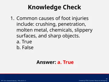 Slide 58: Knowledge Check