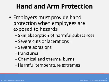 Slide 24: Hand and Arm Protection