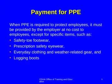 Slide 3: Payment for PPE