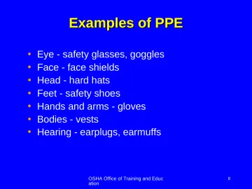 Slide 8: Examples of PPE