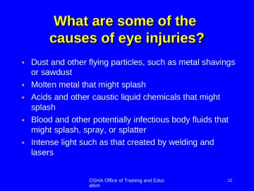Slide 12: What are some of the causes of eye injuries?