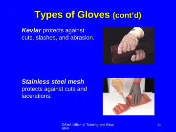 Slide 31: Types of Gloves (cont’d)