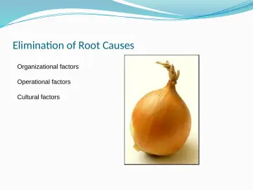 Slide 5: Elimination of Root Causes