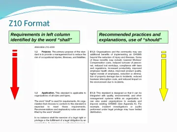 Slide 11: Z10 Format