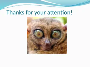 Slide 34: Thanks for your attention!