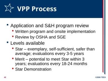 Slide 42: VPP Process