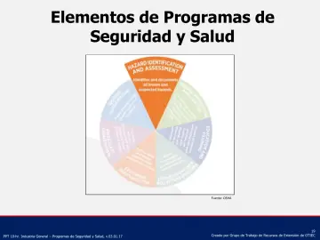 Slide 19: Elementos de Programas de Seguridad y Salud