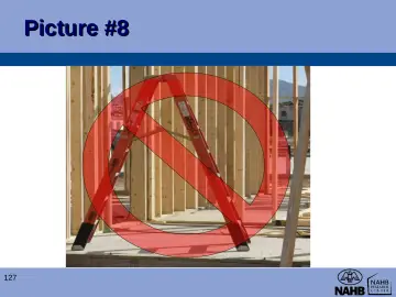 Slide 127: Picture #8
