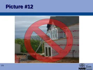 Slide 131: Picture #12