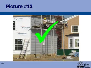 Slide 132: Picture #13