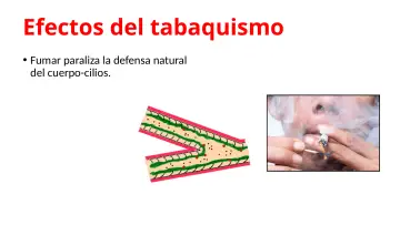 Slide 11: Efectos del tabaquismo