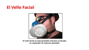 Slide 65: El Vello Facial