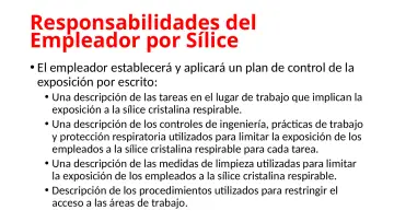 Slide 70: Responsabilidades del Empleador por Sílice