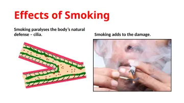 Slide 11: Effects of Smoking