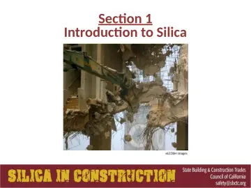 Slide 7: Section 1