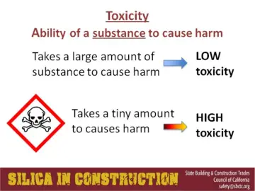 Slide 24: Toxicity