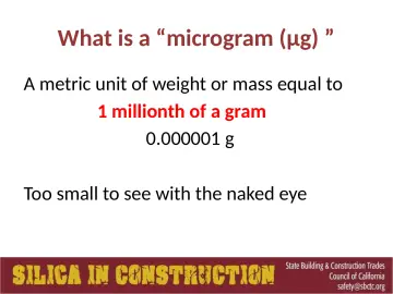 Slide 28: What is a “microgram (µg) ”