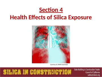 Slide 42: Section 4
