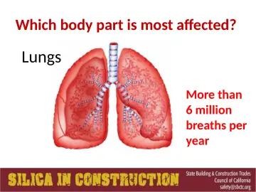 Slide 45: Which body part is most affected?
