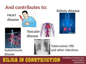 Slide 47: And contributes to: