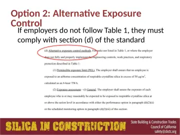 Slide 96: Option 2: Alternative Exposure Control