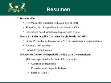 Slide 4: Resumen