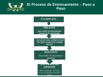 Slide 7: El Proceso de Entrenamiento – Paso a Paso