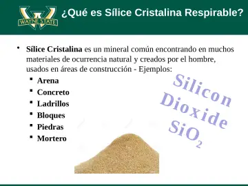 Slide 13: Si l i