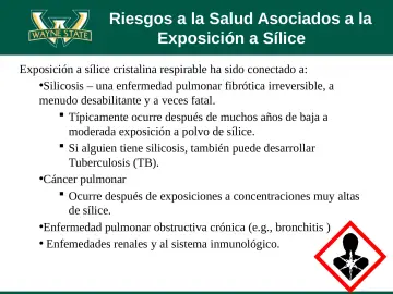 Slide 18: Riesgos a la Salud Asociados a la Exposición a Sílice