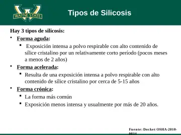 Slide 19: Tipos de Silicosis