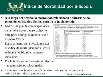 Slide 21: Índice de Mortalidad por Silicosis