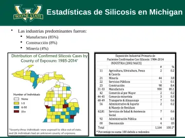 Slide 22: Estadísticas de Silicosis en Michigan