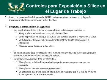 Slide 43: Controles para Exposición a Sílice en el Lugar de Trabajo