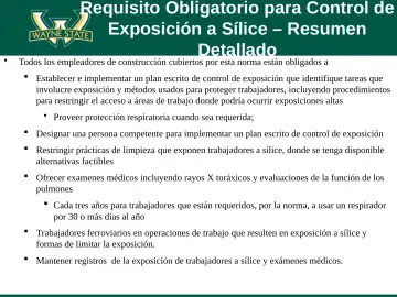 Slide 50: Requisito Obligatorio para Control de Exposición a Sílice – Resumen Detallado