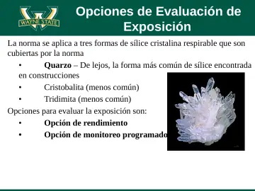 Slide 67: Opciones de Evaluación de Exposición
