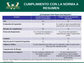 Slide 80: CUMPLIMIENTO CON LA NORMA A RESUMEN