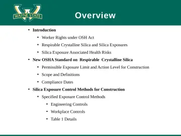 Slide 4: Overview