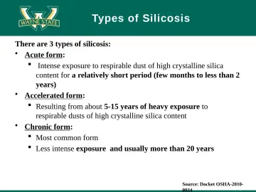 Slide 19: Types of Silicosis
