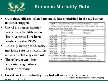 Slide 21: Silicosis Mortality Rate