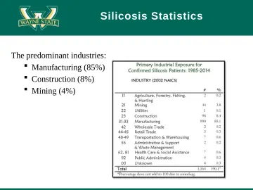 Slide 22: Silicosis Statistics