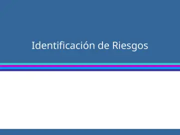 Slide 49: Identificación de Riesgos
